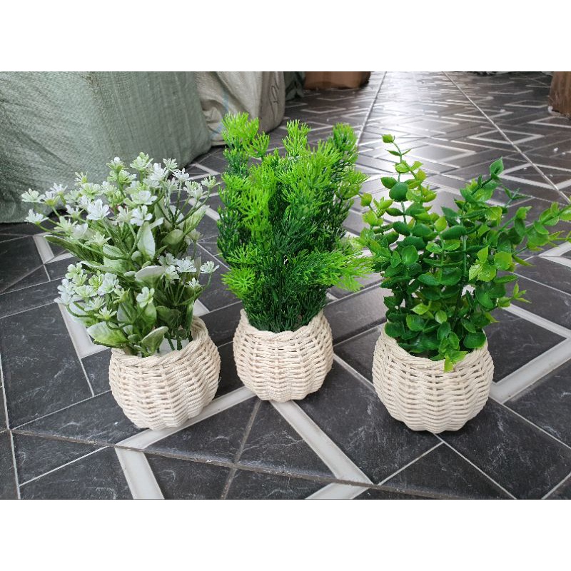 Daun Hias + Pot Rotan Set