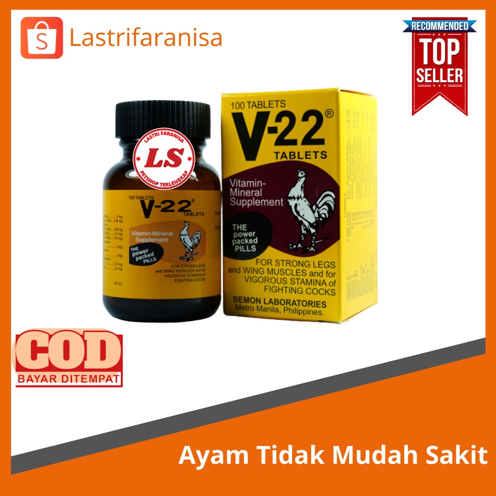 V22 Ayam Putih, Suplement, Obat Ayam Sebelum Adu, Vitamin Ayam Laga, Memperkuat Sayap Ayam