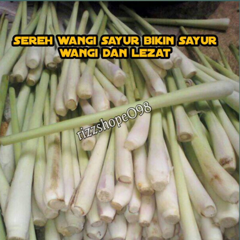 

500 GRAM SEREH SAYUR BUMBU MASAKAN SIAP KIRIM SEGAR