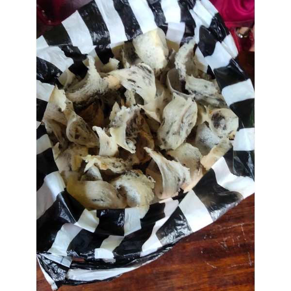 

sarang burung botolkan