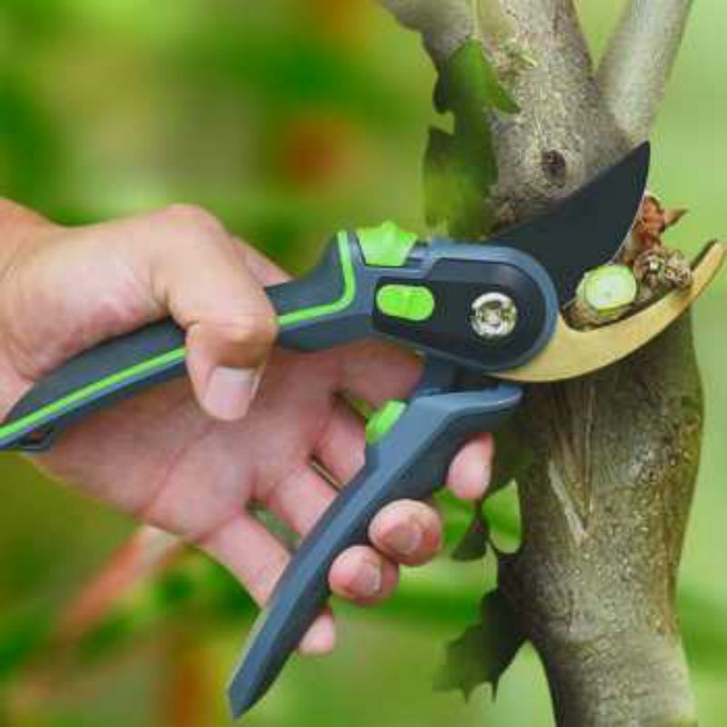 Gunting Tajam Dahan Ranting Pohon Taman ORI Tumbuhan Pruning Shear Scissors KNIFEZER
