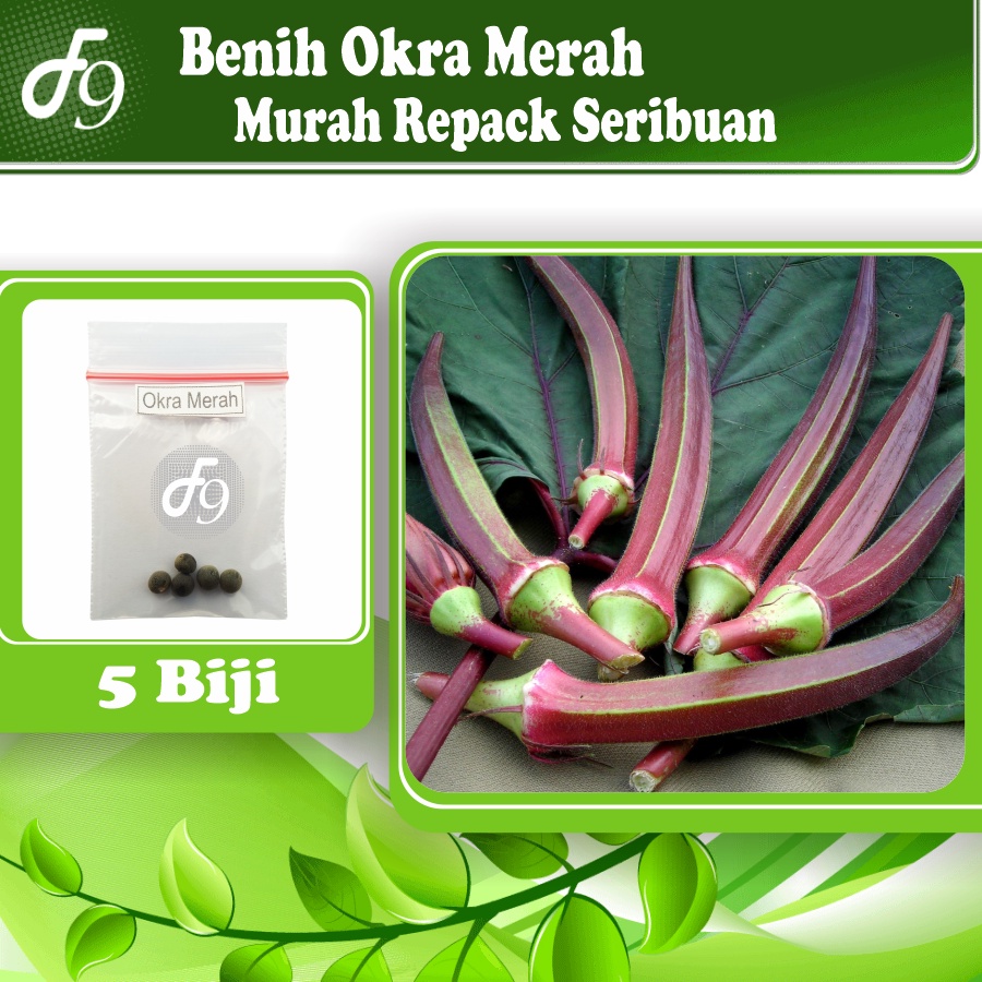 Benih Bibit Okra Merah Murah Repack Seribuan