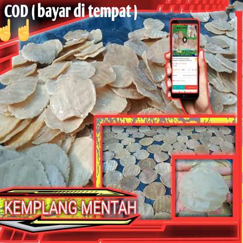 

Kemplang Mentah Palembang 100 pcs – Paket Jumbo Borongan | Hemat & Praktis