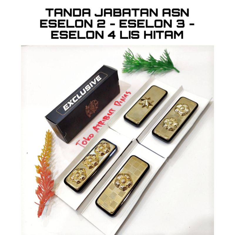 Tanda jabatan asn eselon 2 - eselon 3 - eselon 3 - eselon 4 Lis Hitam