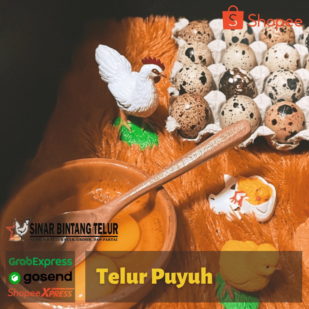 

Telur Puyuh Segar /45 Butir