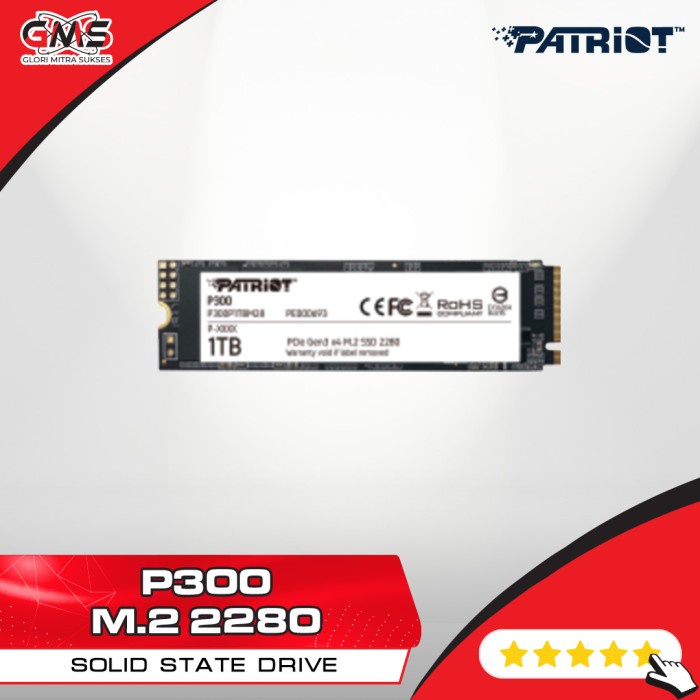 Patriot P300 M.2 2280 1 TB / SSD M.2 1TB / SSD Patriot M.2 1TB