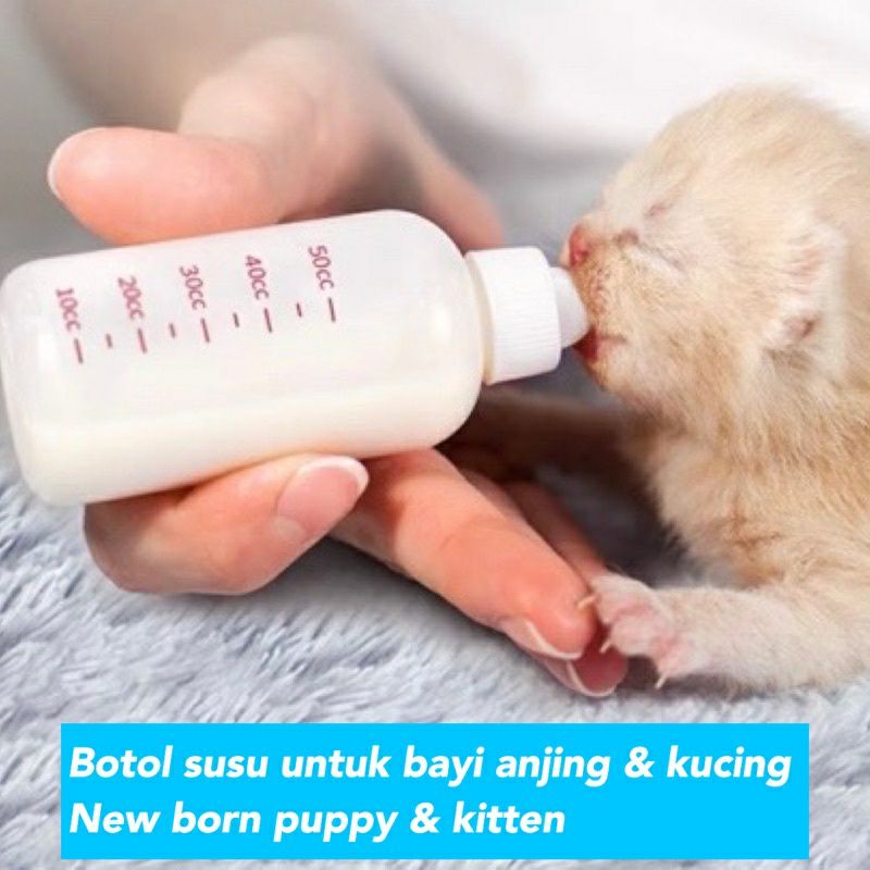 Botol susu kucing anjing new born bayi baru lahir