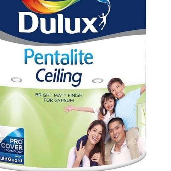 Cat dulux pentalite ceiling 5 kg