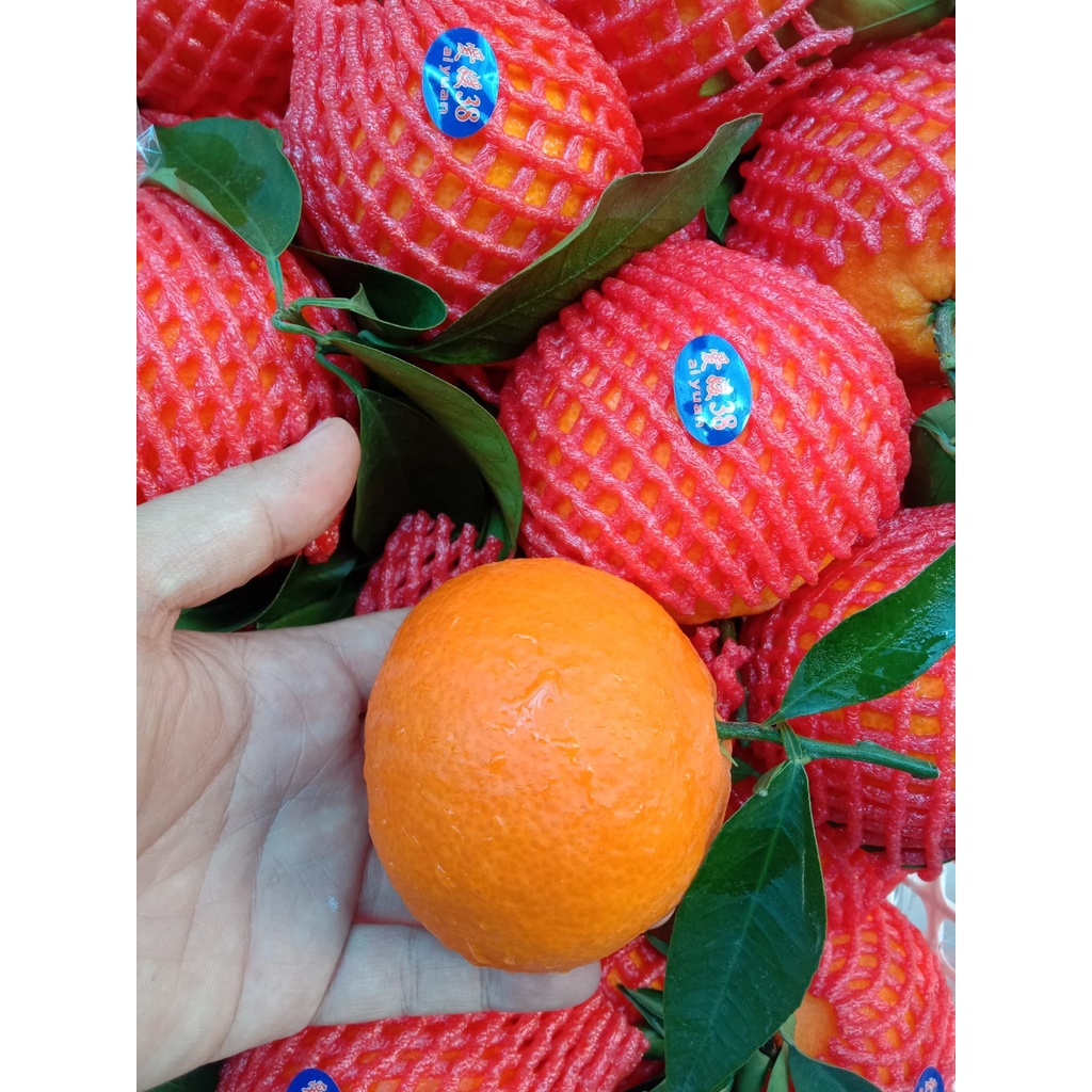 

Buah Jeruk Aiyuan 1kg
