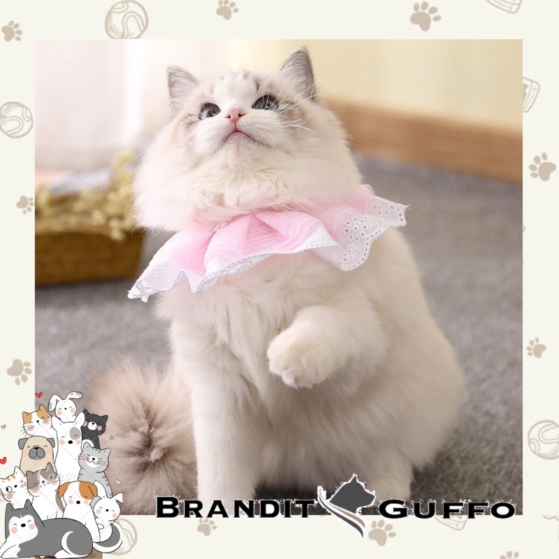 Kalung leher renda kucing anjing premium lucu harness pita hewan tali