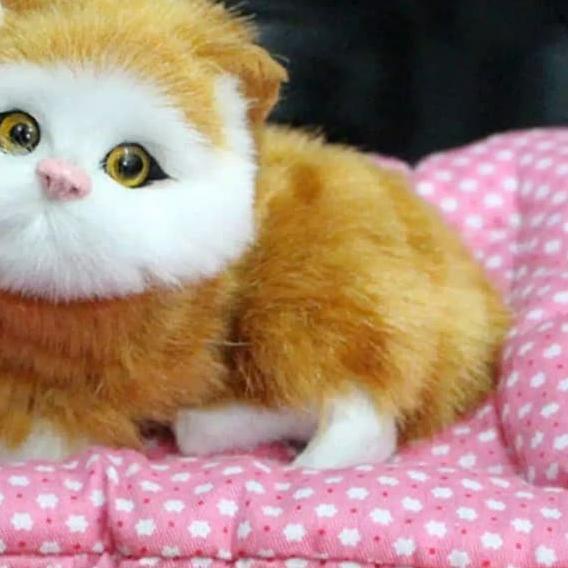 boneka kucing mainan prank boneka lucu unik mainan kucing bersuara cat - Kuning