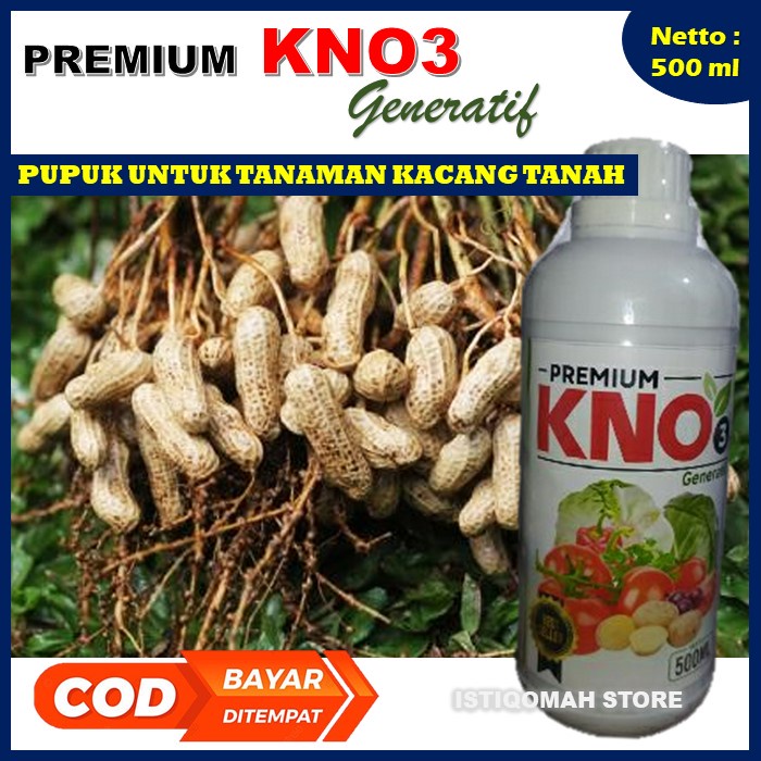 PREMIUM KNO3 Generatif 500ML Pupuk Obat Pencegah Penyakit Busuk Kacang Tanah - Pupuk untuk Mempercepat Pertumbuhan Buah Umbi Kacang Tanah - Pupuk Penyubur Tanaman Kacang Tanah yang Bagus Terbaik Ampuh Terlaris