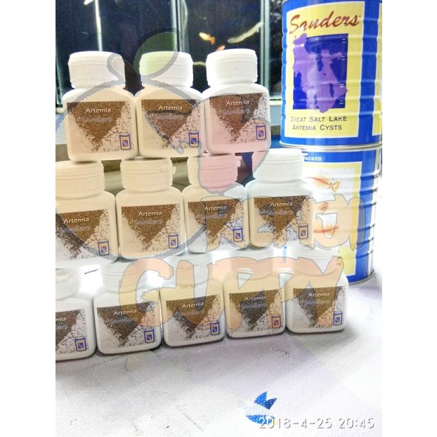 Artemia Sanders Repackage 50gr - BIRU