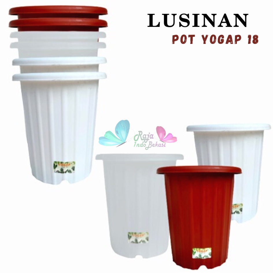 LUSINAN Pot Yogap 18 Putih Coklat Merah Bata Bening Transparan TERMURAH GROSIR-Pot Yogap Ypt 10 13 15 Putih Coklat Merah Bata Bening Transparan Pot Yogap Yoga Murah Yogap 17 18 19