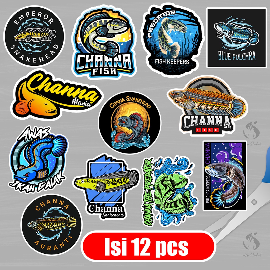 

Stiker Ikan Channa Isi 12 pcs Sticker Anti Air Paket Hemat Murah Dengan Motif Channa Fish Hobi Ikan Galak Bogo Mania