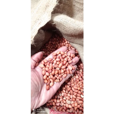 

1kg KACANG TANAH/kacang bali