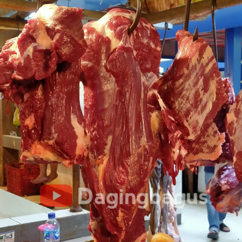 

Daging Segar / Daging Rendang / Daging Semur Bersertifikat Halal