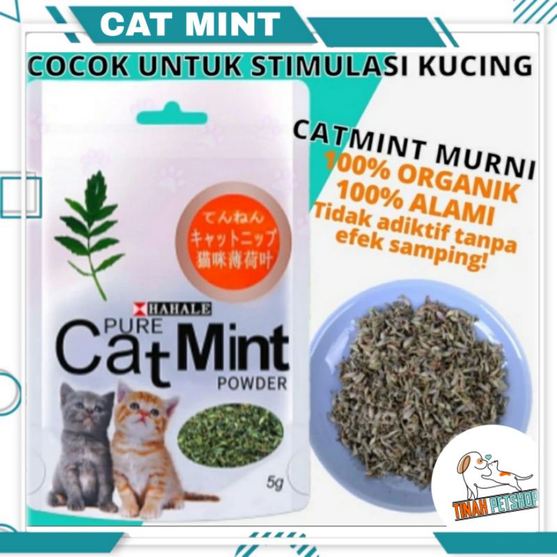 Catnip catmint cat mint - PURE CATMINT POWDER - BIKIN FLY KUCING DAN LEBIH AKTIF