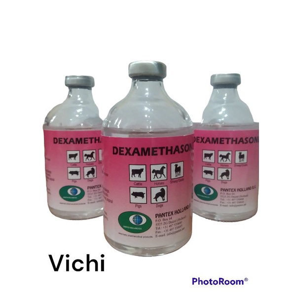 dexamethasone pantex Holland, saveta, obat nyeri, demam, analgesik
