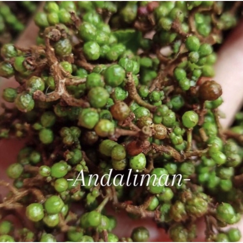 

Andaliman Hijau segar Bumbu khas medan berat 250gr [itir itir-rempah rempah] TERMURAH