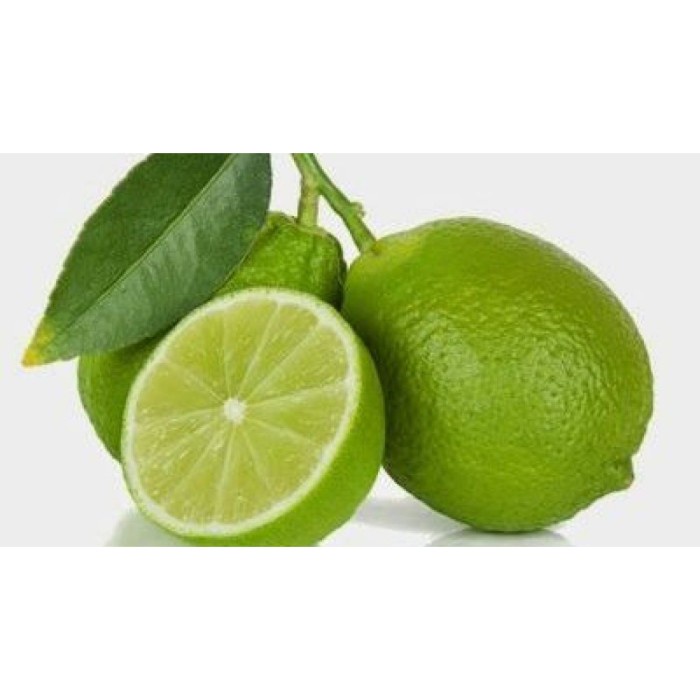 Bibit Benih Biji Buah Jeruk Nipis - Biji Tanaman Buah Jeruk Nipis - AA99