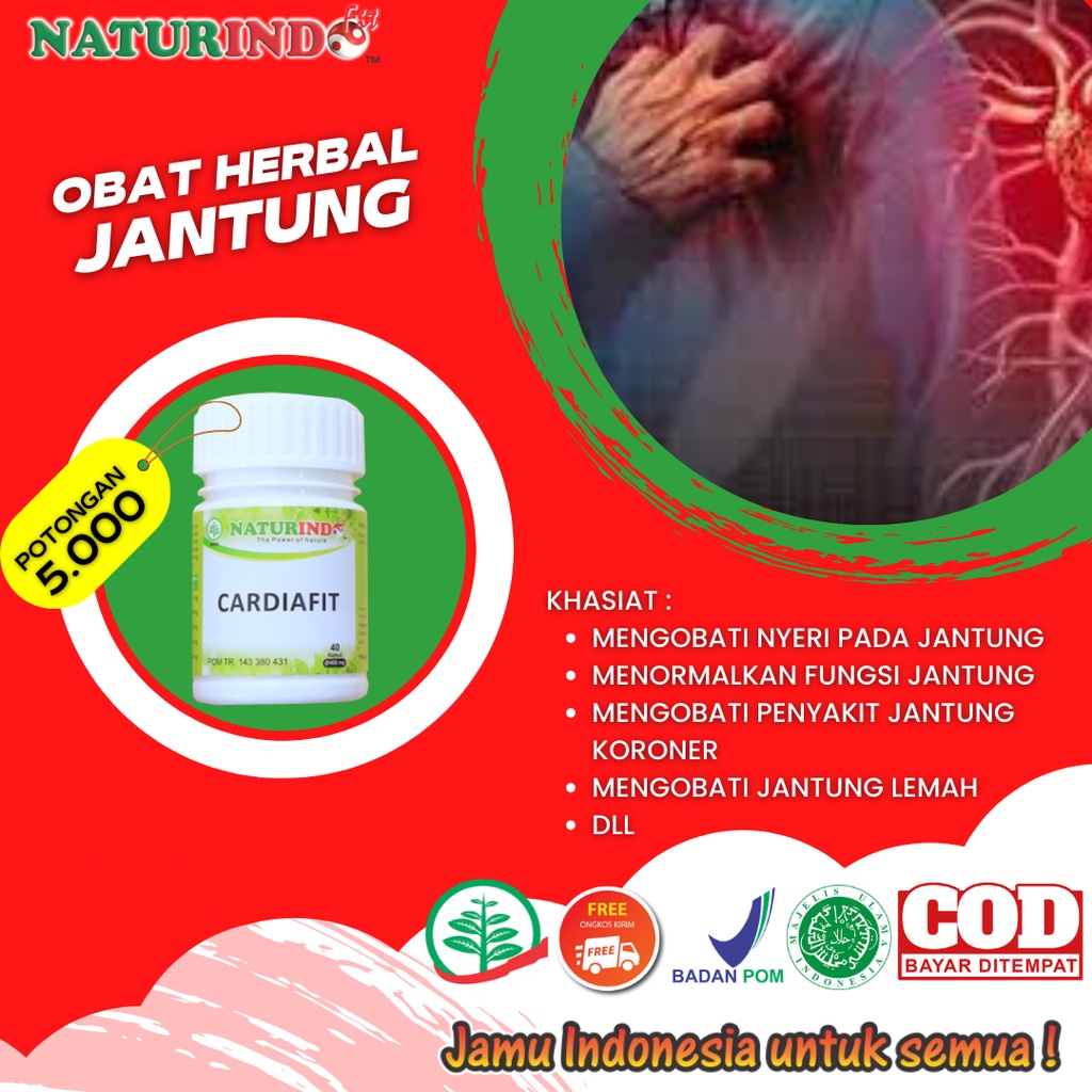 Jual Obat Jantung Bengkak Berdebar Jantung Koroner Jantung Lemah Herbal ...