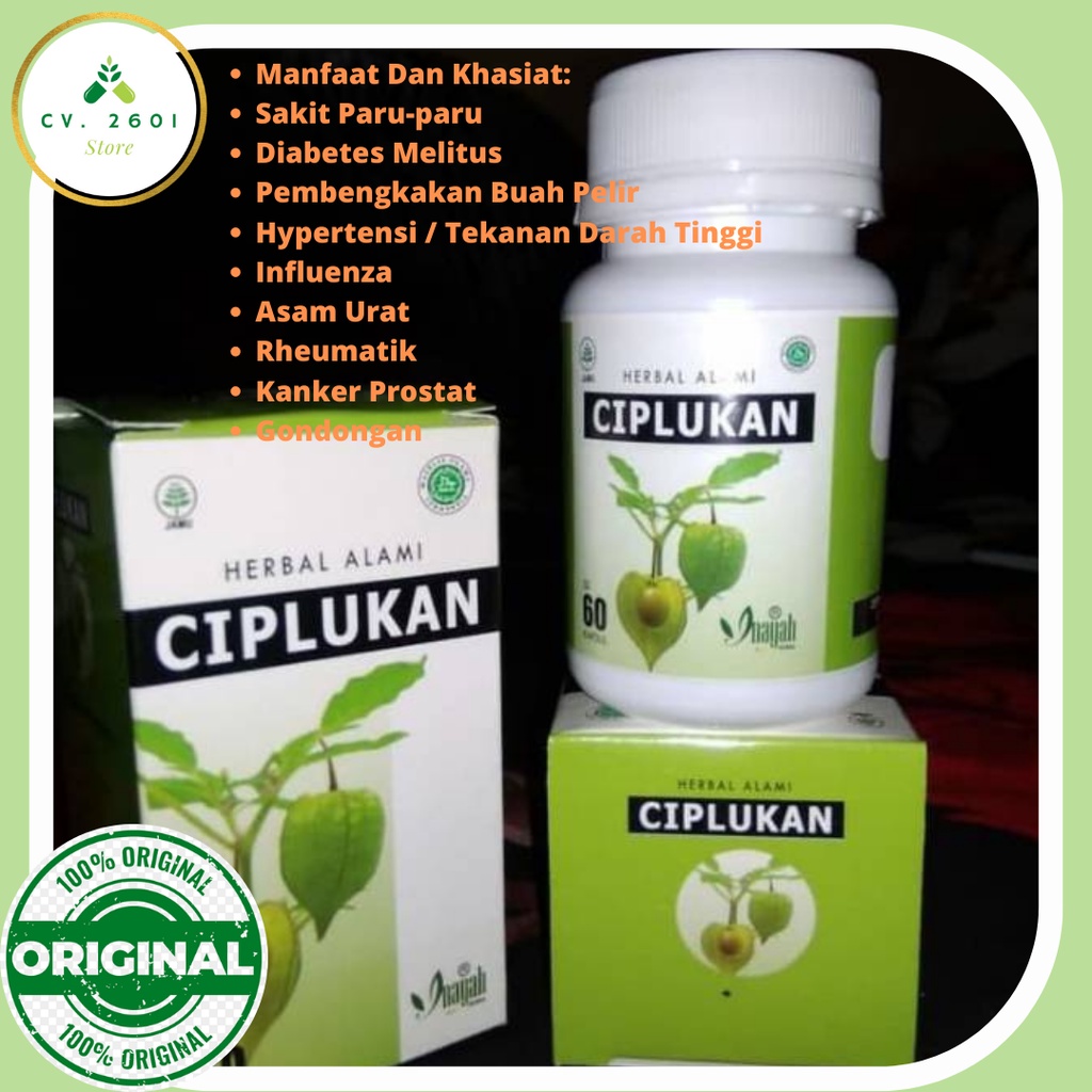 Ciplukan - Kapsul Daun Ciplukan