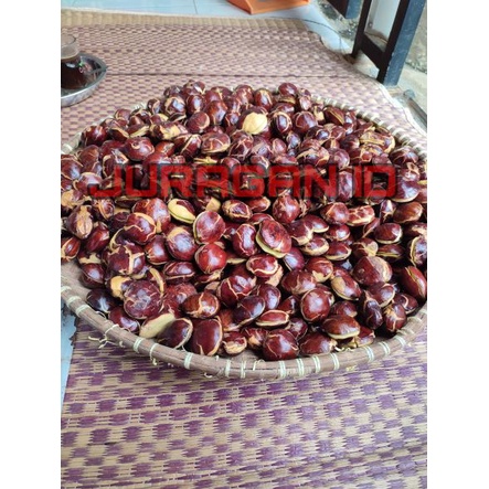 

Jengkol Mentah Grade A