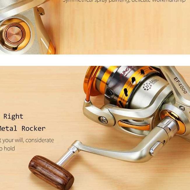 Reel Pancing Spinning 12 Ball Bearing EF1000 Fishing Reel