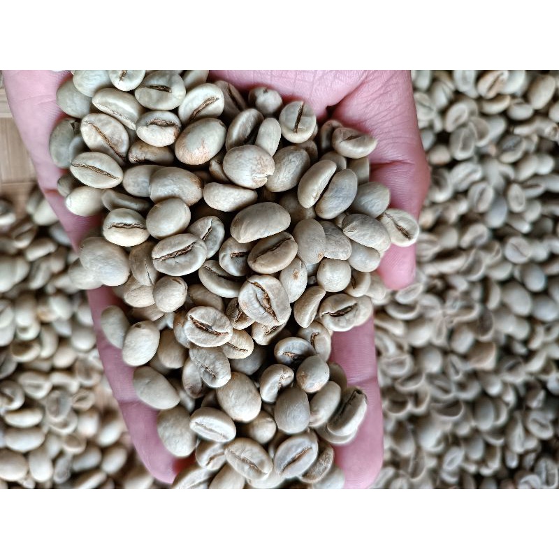 

Greenbean Robusta petik merah