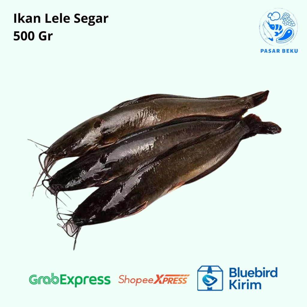 

Ikan Lele Segar 500gr Ikan Potong Frozen Food Pasar Beku Padang