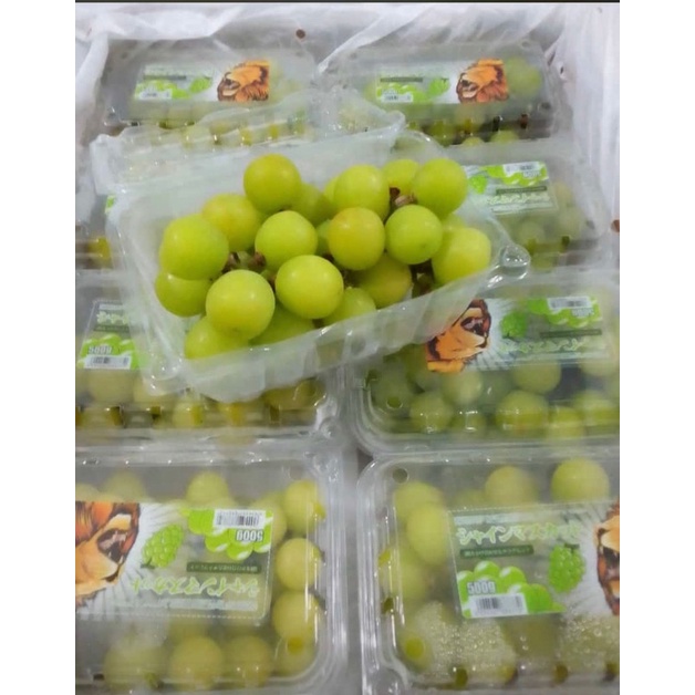 

ANGGUR MUSCAT 500GR | BUAH SEGAR BANDUNG | WARUNG CEU ENGKAY