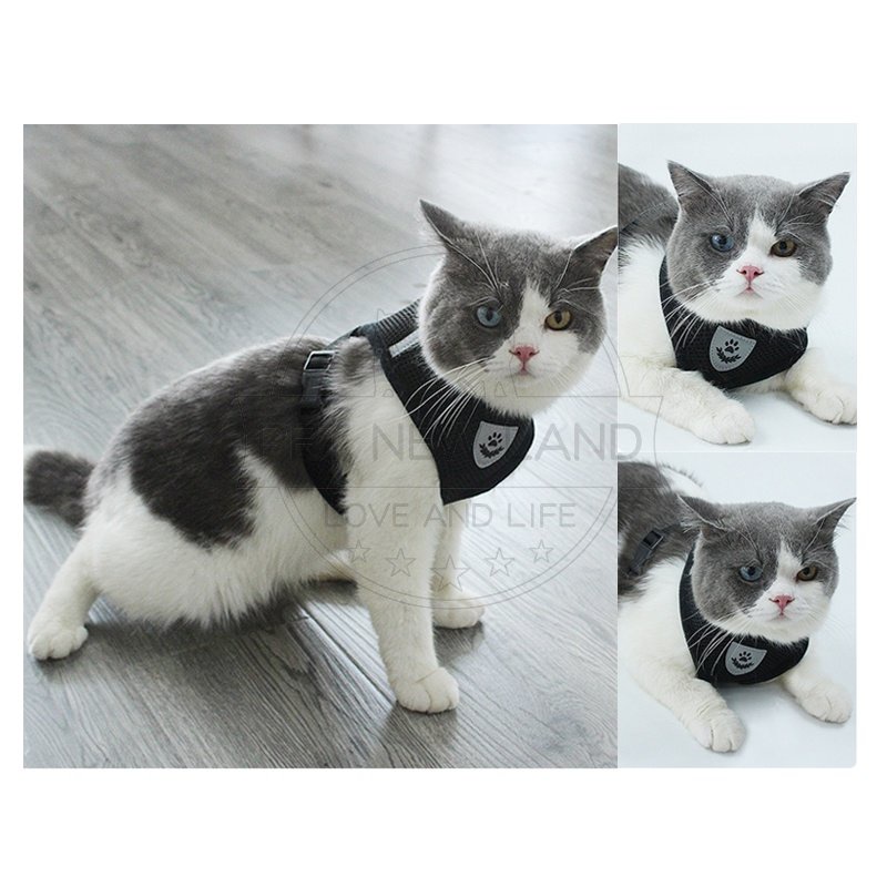 Tali Tuntun Kucing Rompi Harness Anjing Rompi Tali Kucing Harness Dog Leash Kecil Tali Kalung Kucing Tali Reflektif