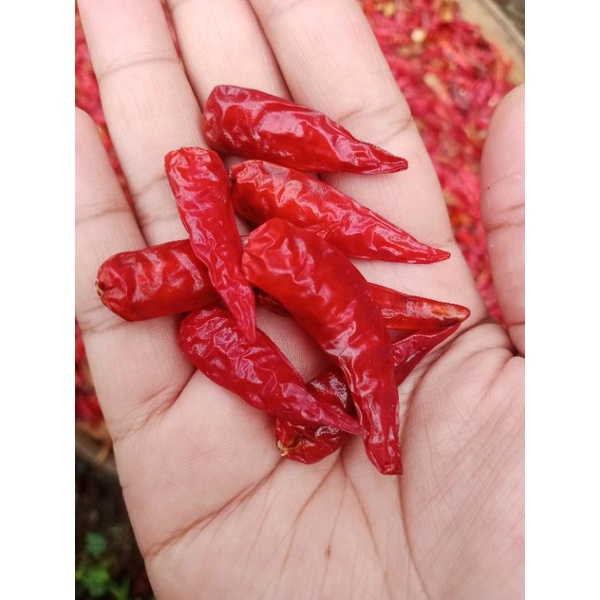 CABE SANGAT KERING (CENGEK/JAPLAK/CAPLAK/RAWIT/CABE GUNUNG) 100 GRAM