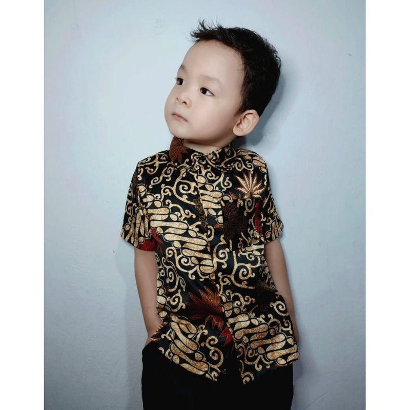 Kemeja Batik Anak / Kemeja Anak Batik Sutra /Kemeja Batik Pendek Anak