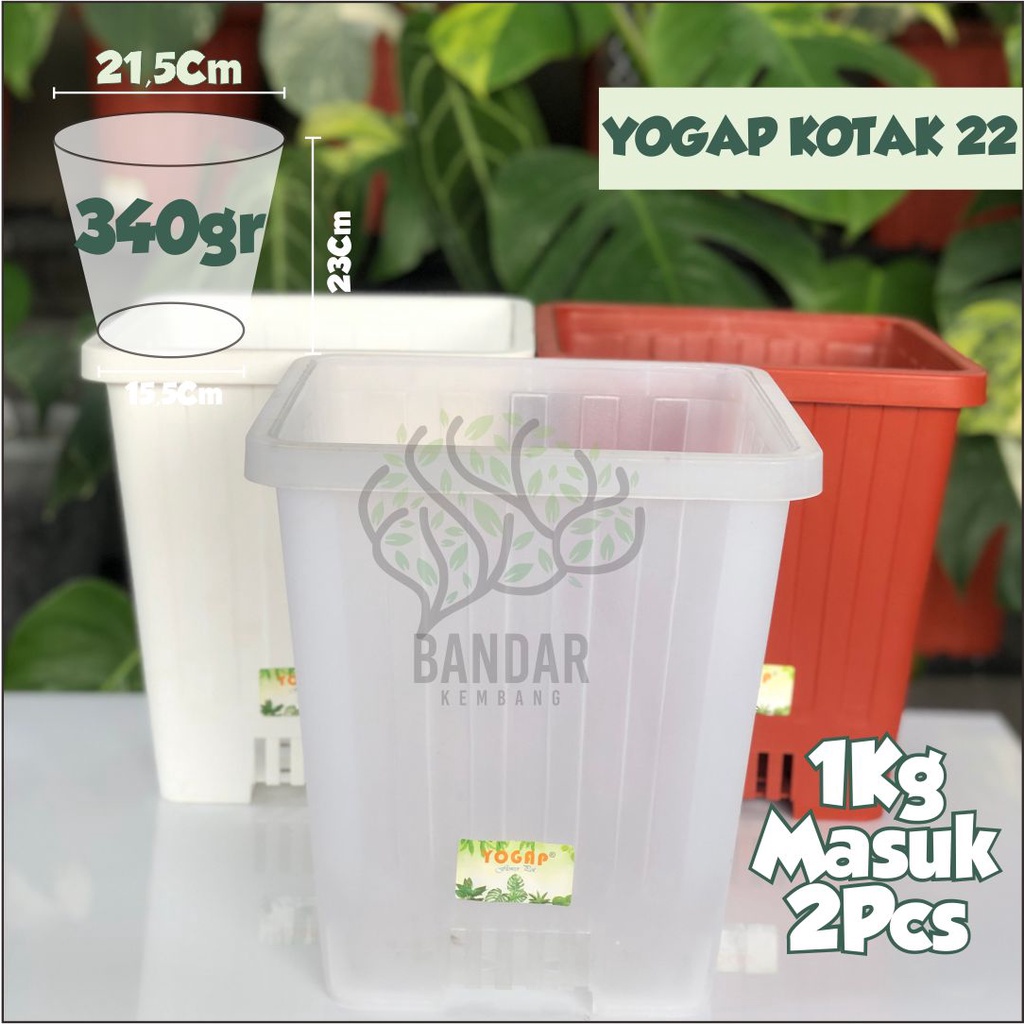 Pot Yogap Kotak 22 YPK 22 Pot Tanaman Bunga Hias Persegi Besar Pot Besar Pot Yogap Besar