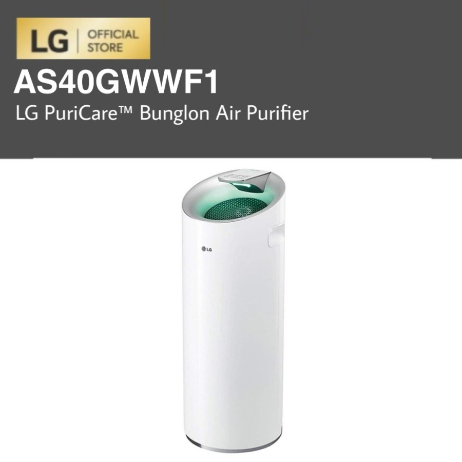 LG AS40GWWF1 PuriCare™ Bunglon Air Purifier 32,8M²