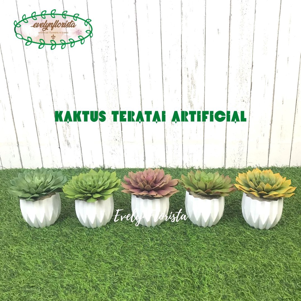 Tanaman Hias Kaktus Teratai Latex Artificial Variasi Warna Pot Diamond Bulat Pajangan Dekorasi