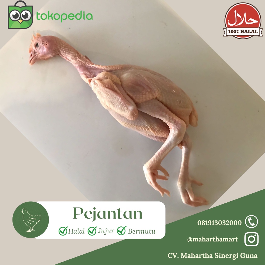 

Ayam Pejantan Ukuran 500 Gram - Mahartha