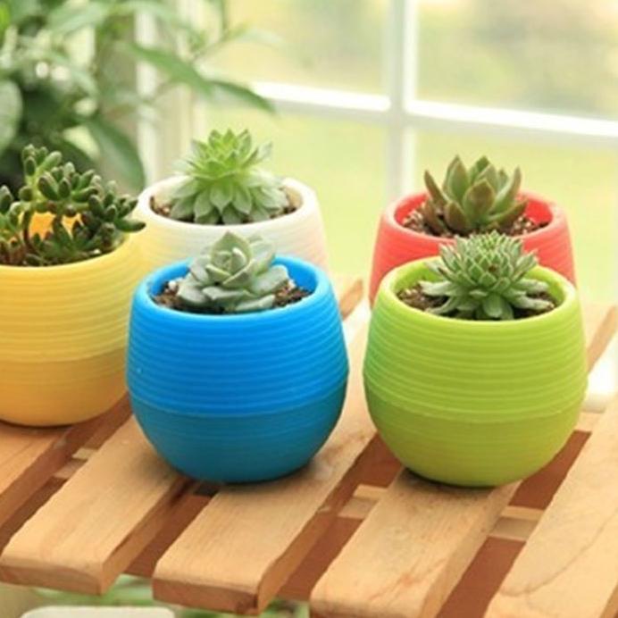 RAK POT KAKTUS DINDING Bunga Hias Tanaman Mini Sekulen Sukulen Taman Tamu