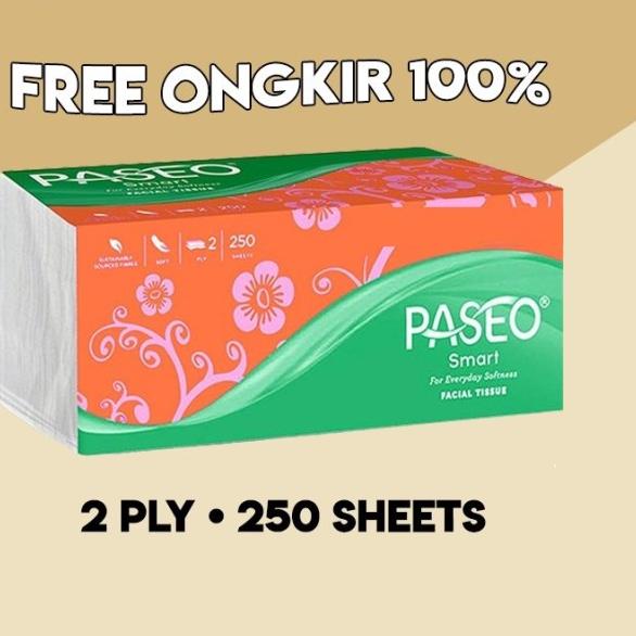 Tissue Tissu Tisu Passeo Paseo 250 gr Sheet - 2PLY