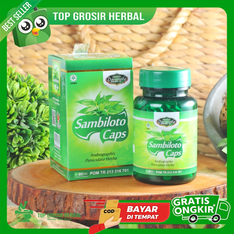 kapsul sambiloto Kapsul Ekstrak Sambiloto Darusyifa BPOM Isi 60 - Kapsul Sambiloto