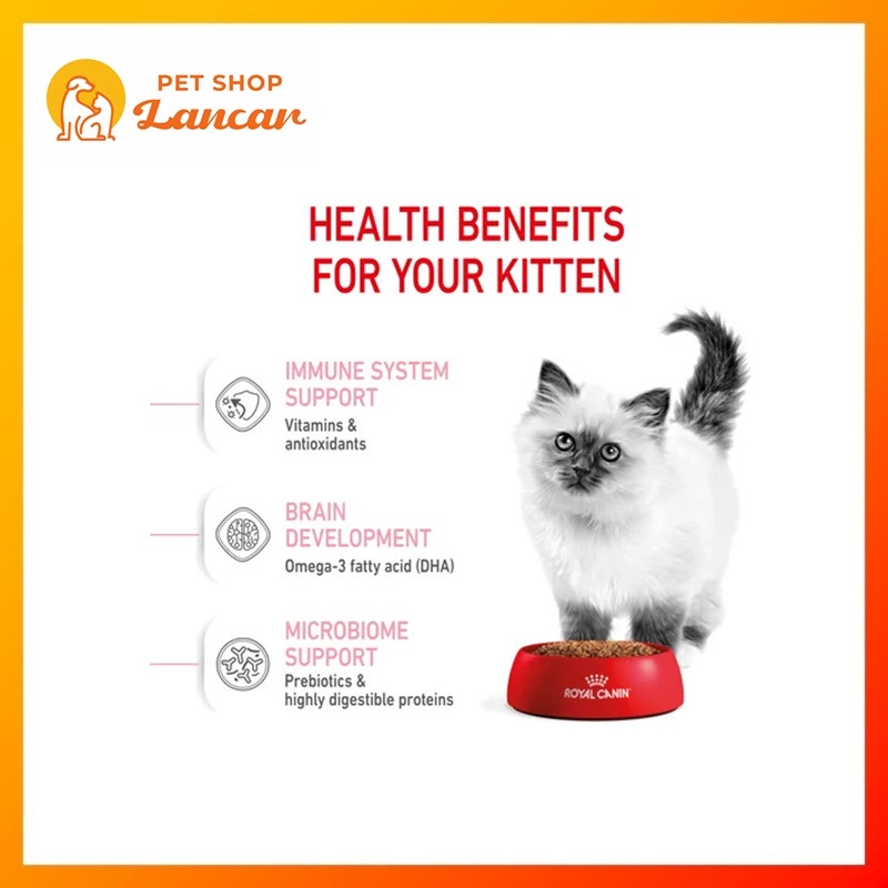 Royal Canin Kitten 36 400gr - Makanan Kucing