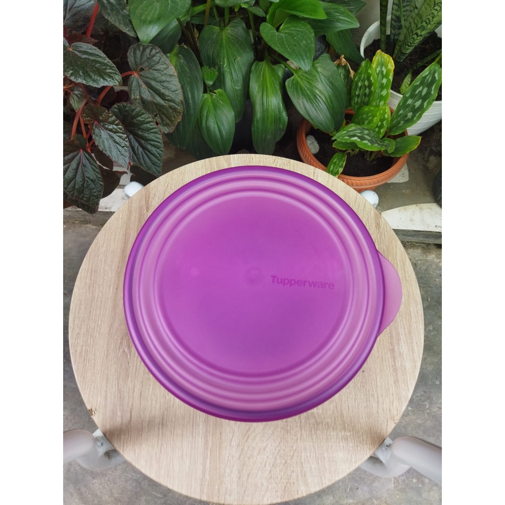 Tupperware Eleganzia Bowl 1.5 L 1 pcs