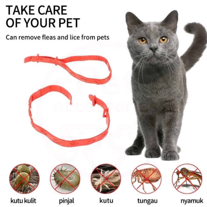 Kalung Anti Kutu Kucing Kelinci Hewan Cat Flea Circle