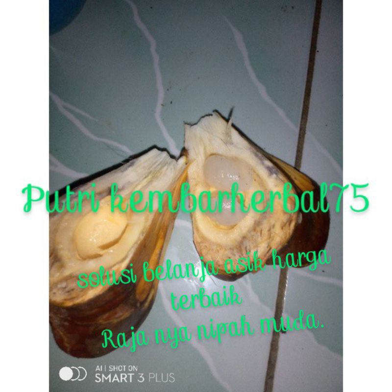 

buah nipah/dahon yg muda siap komsumsi/1kg cangkangan