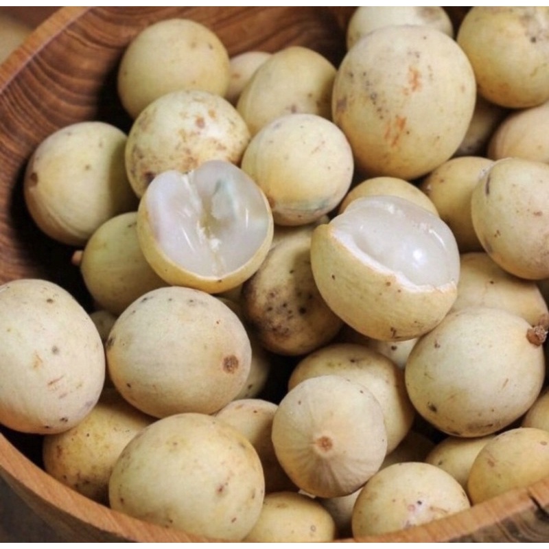 

Duku Palembang 1kg Murah