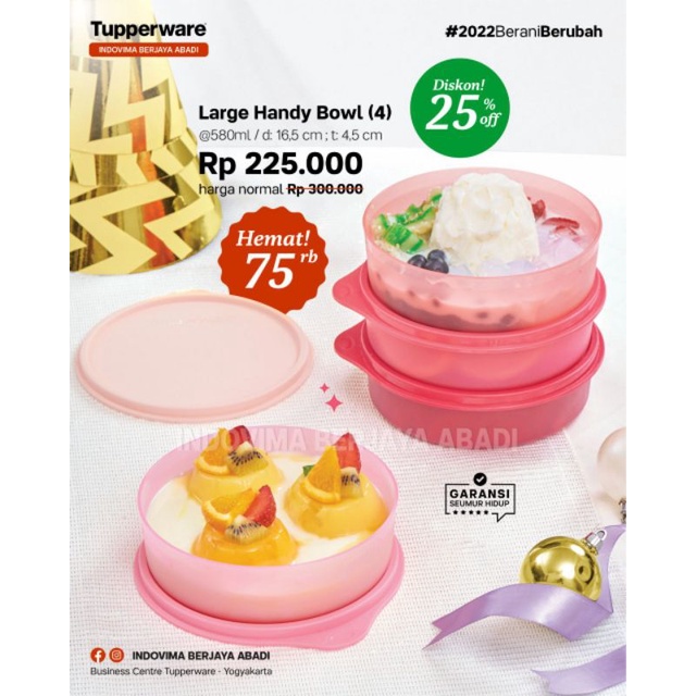 Large Handy bowl tupperware