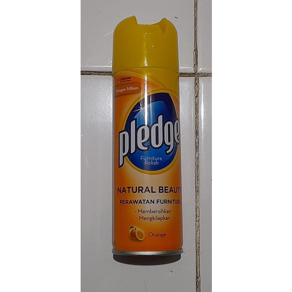 Pledge Aerosol Spray 160GR