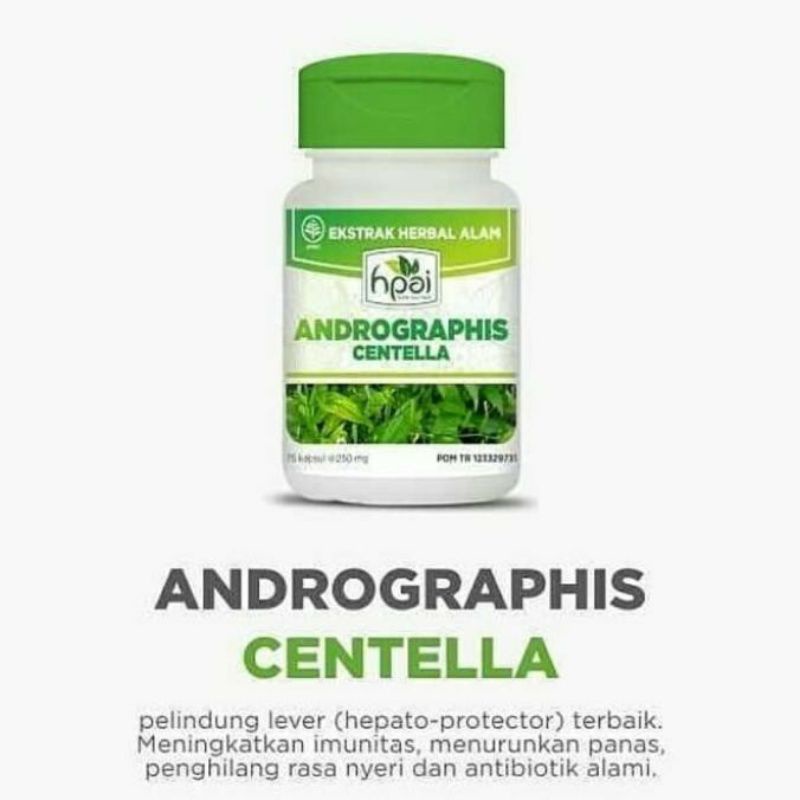 

ANDROGRPHIS CENTELLA HNI original 100%||